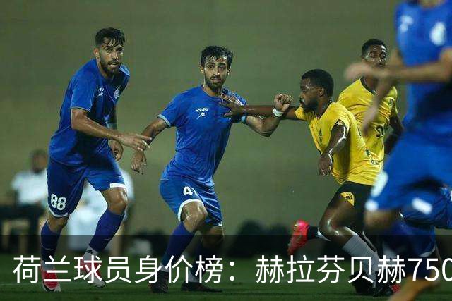 荷兰球员身价榜：赫拉芬贝赫7500万欧居首，加克波位居次席
